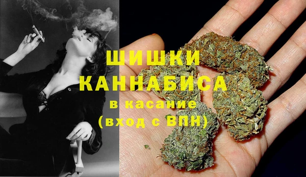 экстази Арсеньев