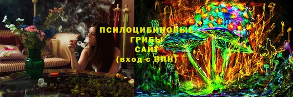 apvp Аркадак