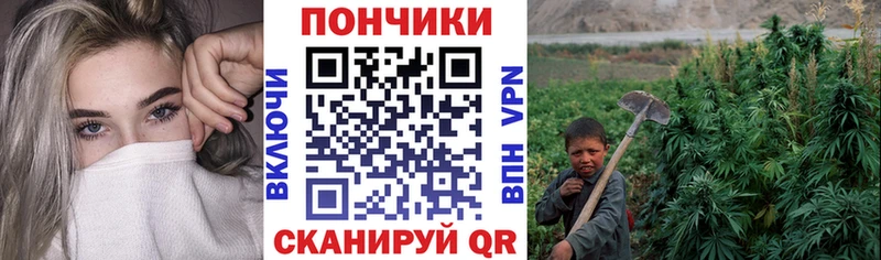 Бошки Шишки планчик  Серов 